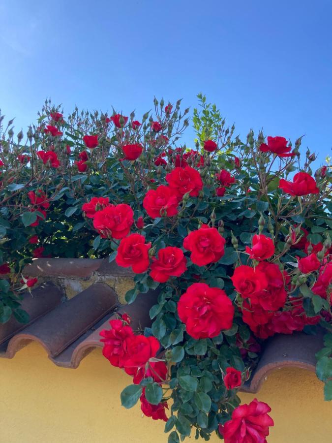 La Rosa Del Lago Bracciano  Bagian luar foto