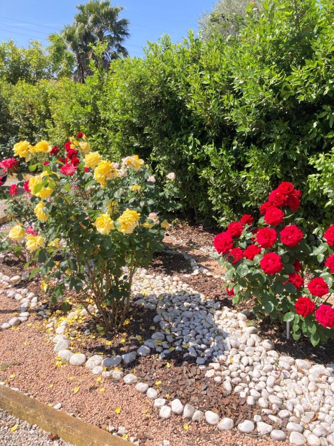 La Rosa Del Lago Bracciano  Bagian luar foto