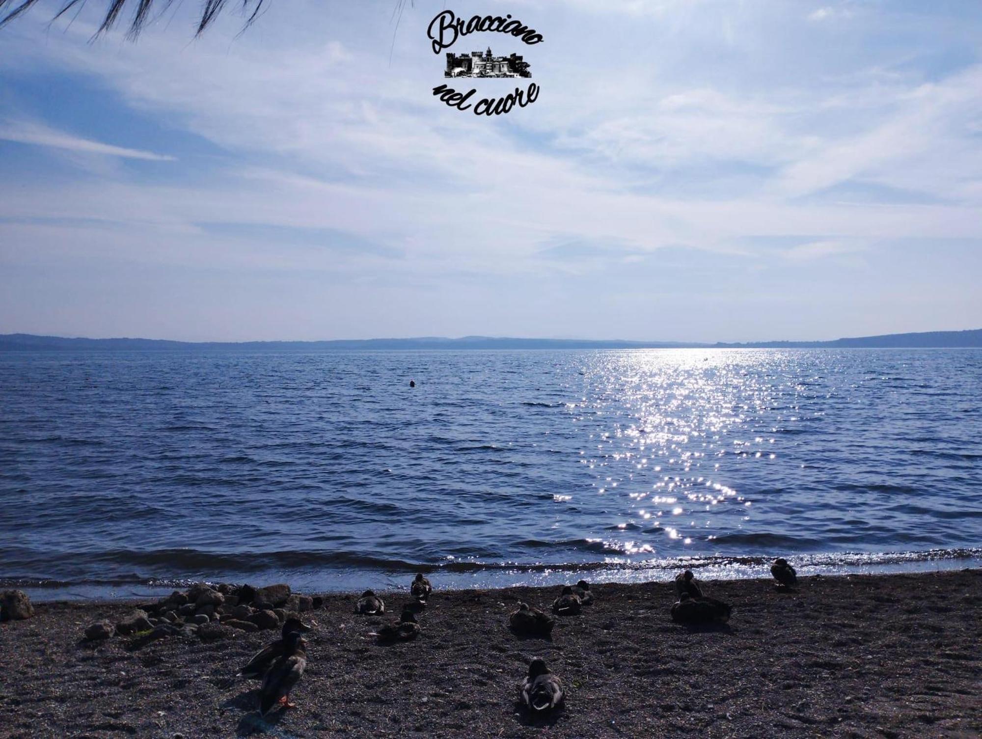 La Rosa Del Lago Bracciano  Bagian luar foto