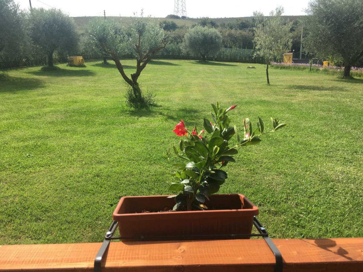 La Rosa Del Lago Bracciano  Bagian luar foto
