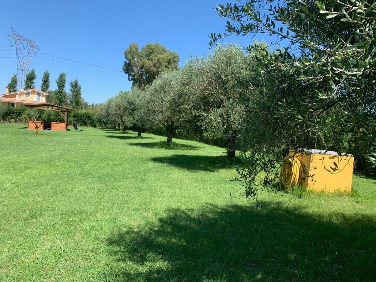 La Rosa Del Lago Bracciano  Bagian luar foto